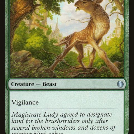 381-brushstrider