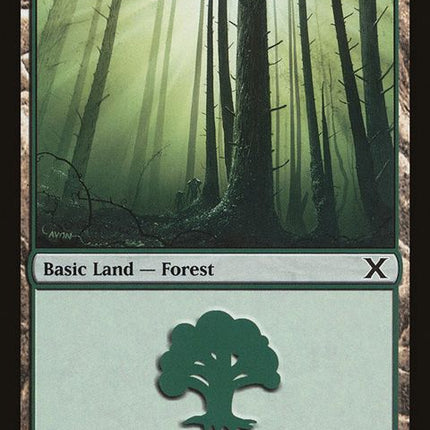 381-forest