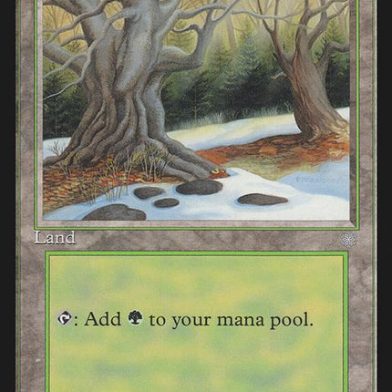 382-forest