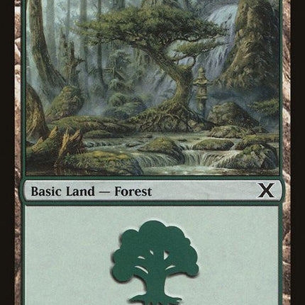 382-forest