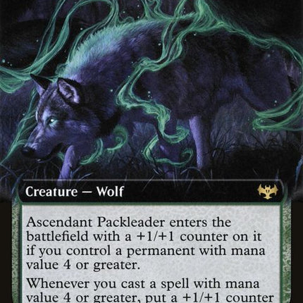 383-ascendantpackleader