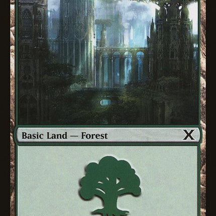 383-forest