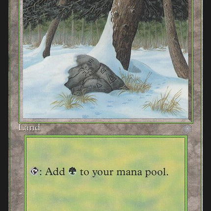 383-snowcoveredforest