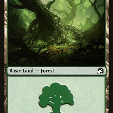 384-forest