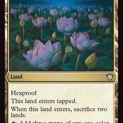 385-lotusfield