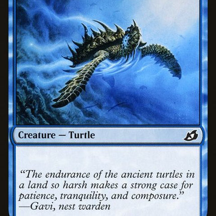 39-aegisturtle