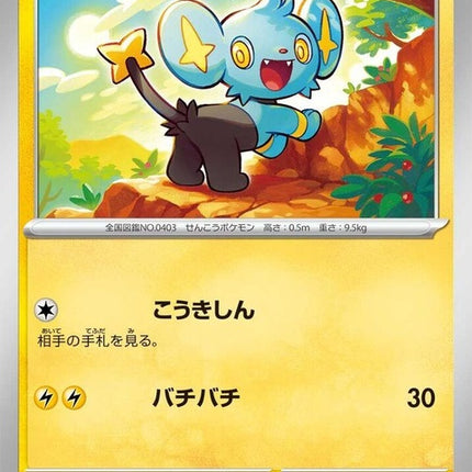 39-shinx