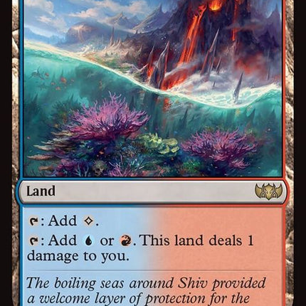 393-shivanreef