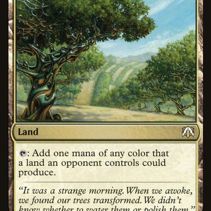 398-exoticorchard