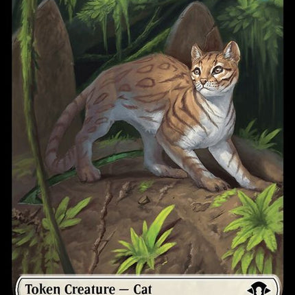 4-cat