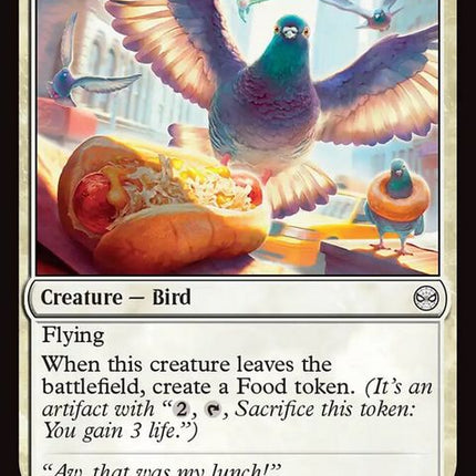 4-citypigeon