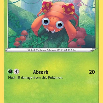 4-paras