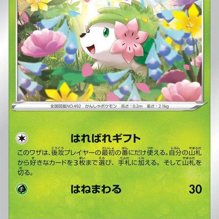 4-shaymin