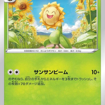 4-sunflora