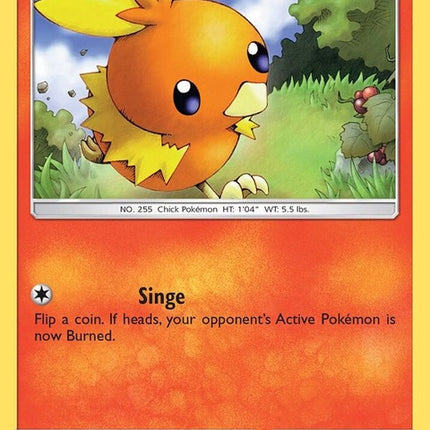 4-torchic