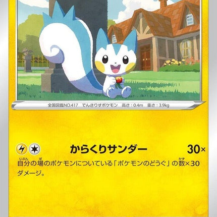 40-pachirisu