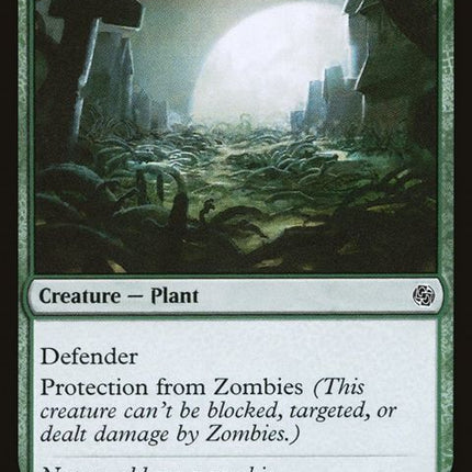 401-gravebramble