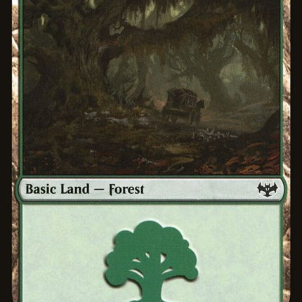 402-forest