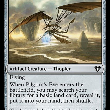 402-pilgrimseye