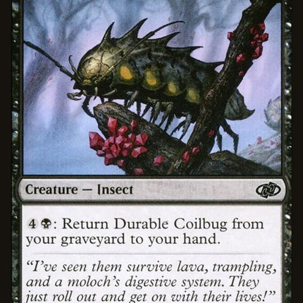 408-durablecoilbug