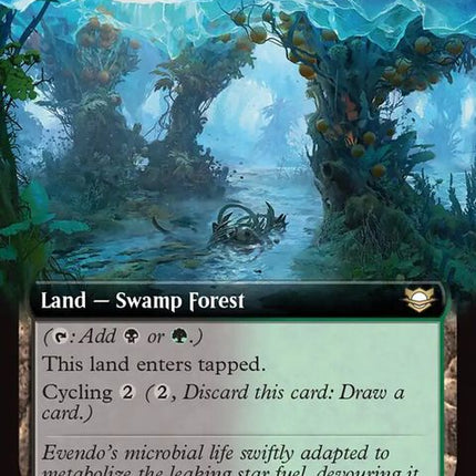 41-festeringthicket