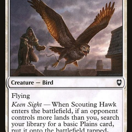 41-scoutinghawk