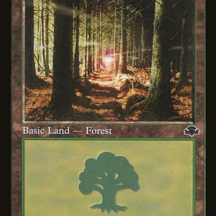 410-forest