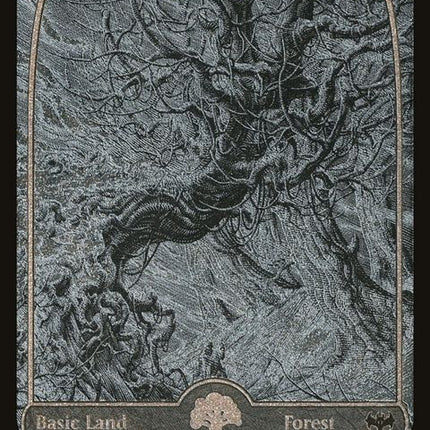 412-forest