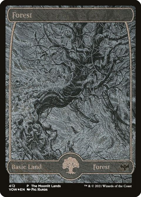 412-forest