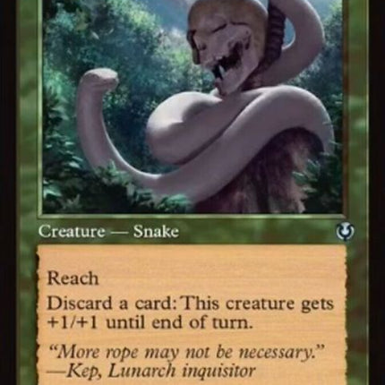 415-nooseconstrictor