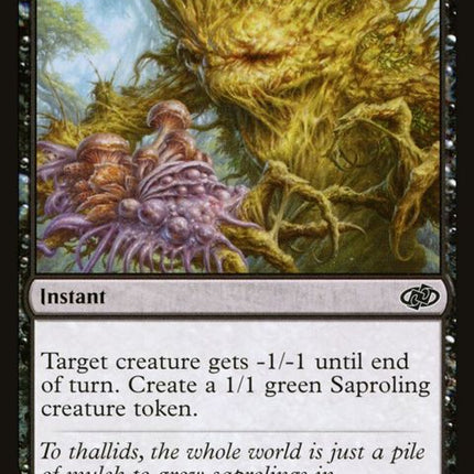 416-fungalinfection