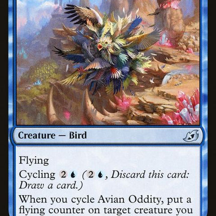 42-avianoddity