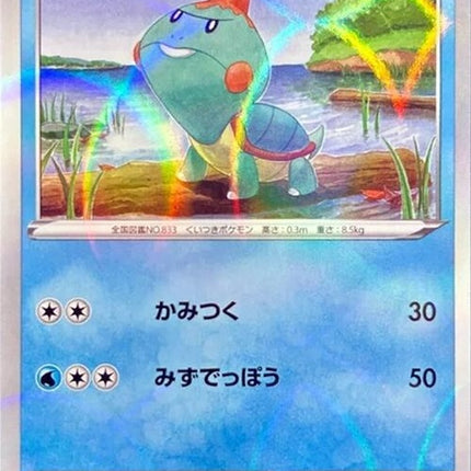 42-chewtle-mirrorholofoil