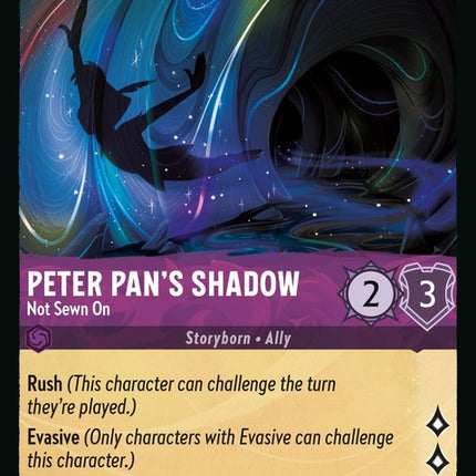 42-peterpansshadow-notsewnon