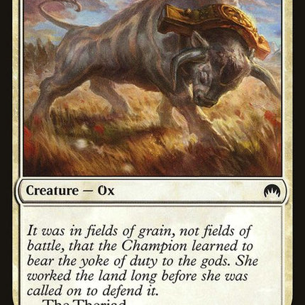 42-yokedox