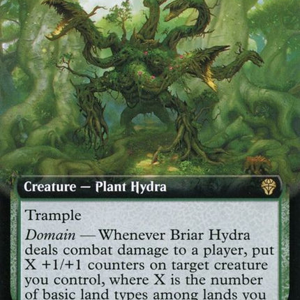 427-briarhydra