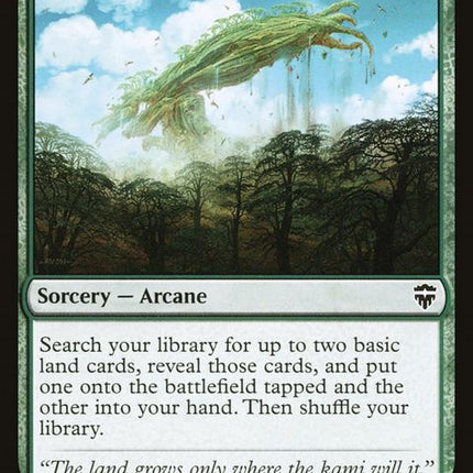 429-kodamasreach