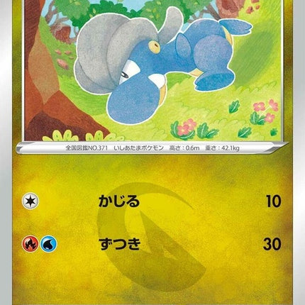 43-bagon