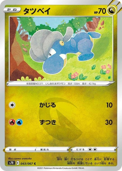 43-bagon
