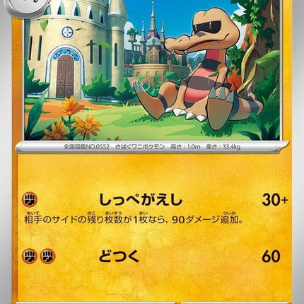 43-krokorok