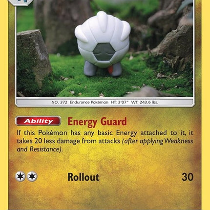 43-shelgon