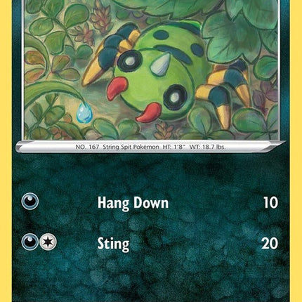 43-spinarak