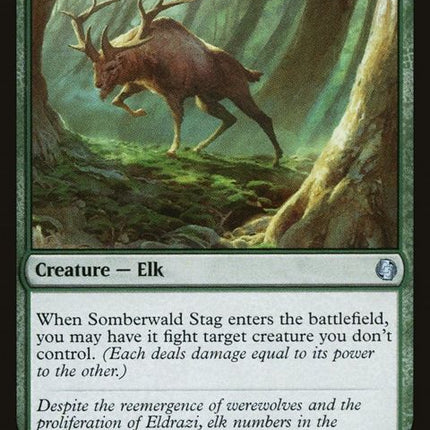 431-somberwaldstag