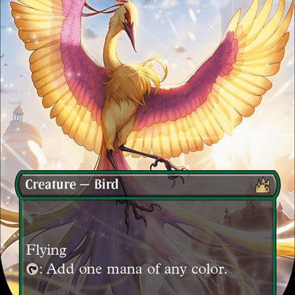432-birdsofparadise