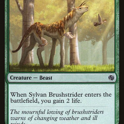 434-sylvanbrushstrider