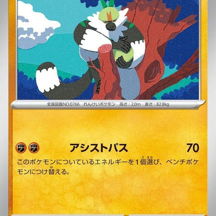 44-passimian