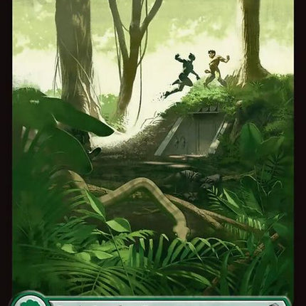 441-forest