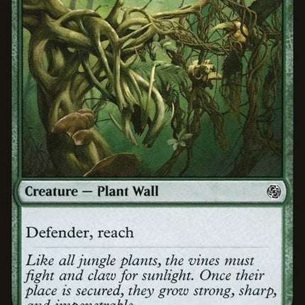 443-wallofvines