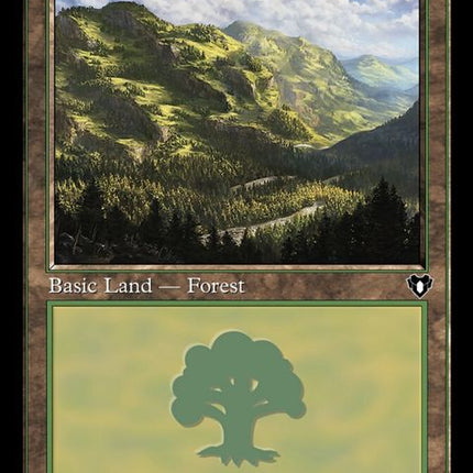 449-forest