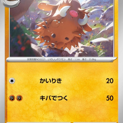 45-piloswine
